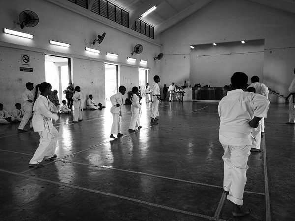 Histoire du Karaté : de ses origines à aujourd'hui